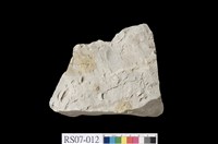 藏品(具滑面、斷層擦痕之泥岩結核)的圖片